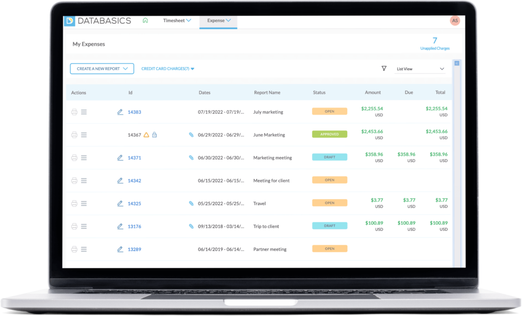 Screenshot of Databasics expense