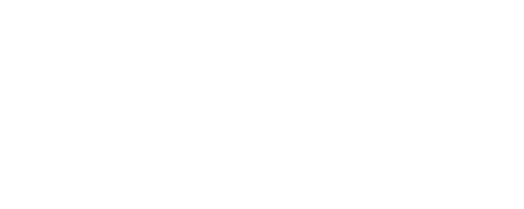 sylogist.gov | VSS logo